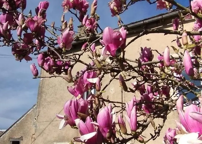 Сasa de vacaciones L'esprit Nature