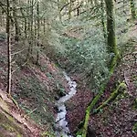 L'esprit Nature Feriehus