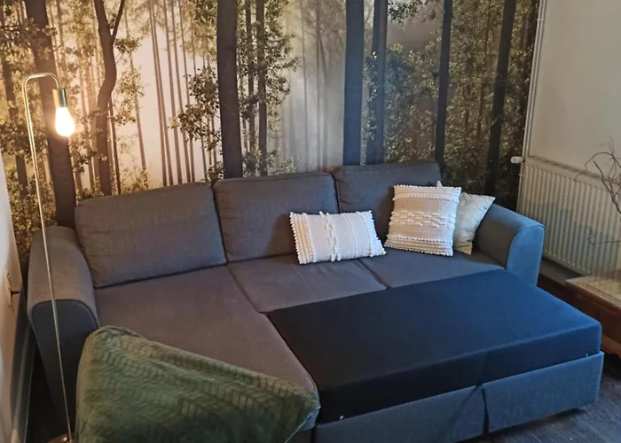 L'esprit Nature 別荘 *